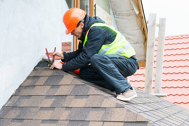 Best Roof Maintenance Services  in Rainbow Lakes Estates, FL